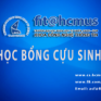 [THÔNG BÁO] V/v Quỹ học bổng thay đổi tài khoản ngân hàng tiếp nhận đóng góp từ quý mạnh thường quân